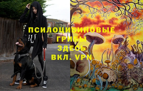 ECSTASY Абаза