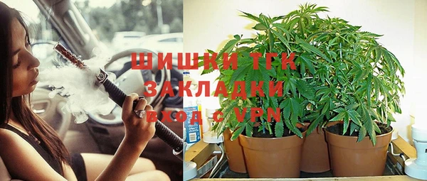ГАЛЛЮЦИНОГЕННЫЕ ГРИБЫ Алексин